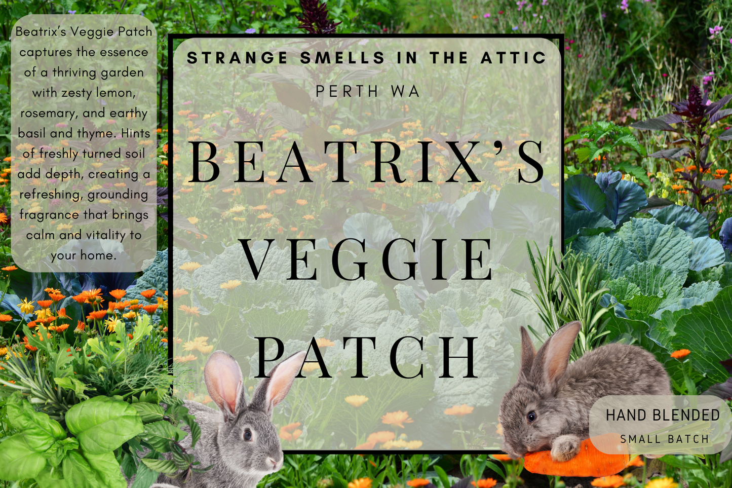 Beatrix’s veggie Patch
