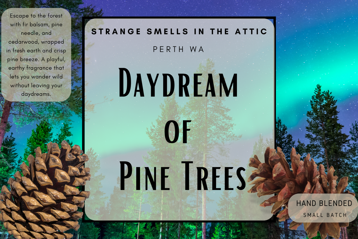 Daydream of Pine trees