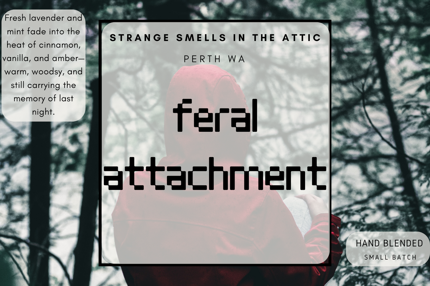 Feral Attachment