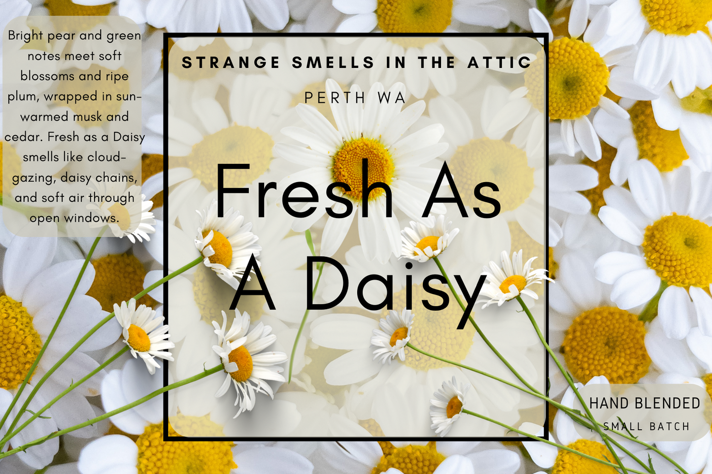 Fresh As A Daisy