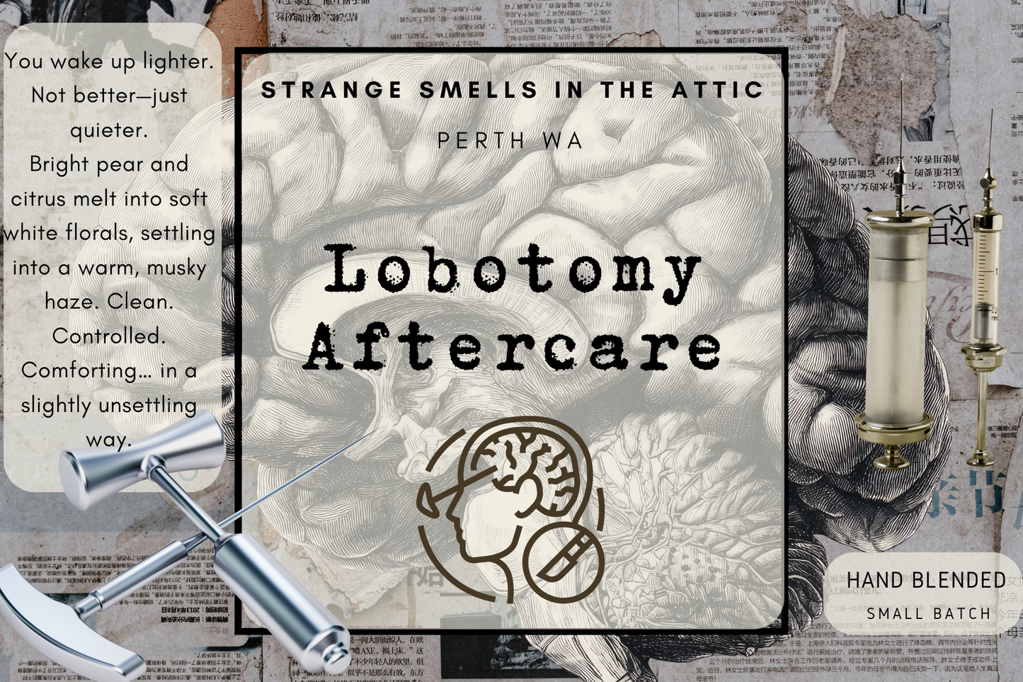 Lobotomy Aftercare