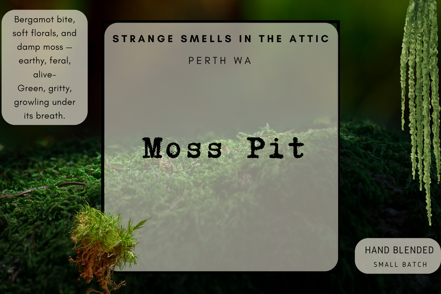 Moss Pit